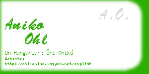 aniko ohl business card