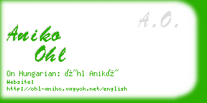 aniko ohl business card